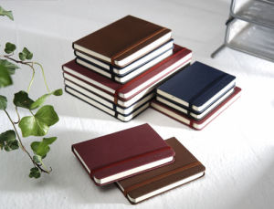 Diaries & Notebooks